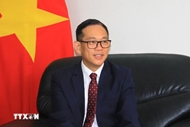Vietnam - Algeria ties deepen after upgrade to strategic partnership: Ambassador